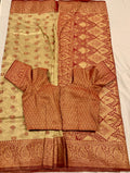 Banarasi saree with rich border and pallu